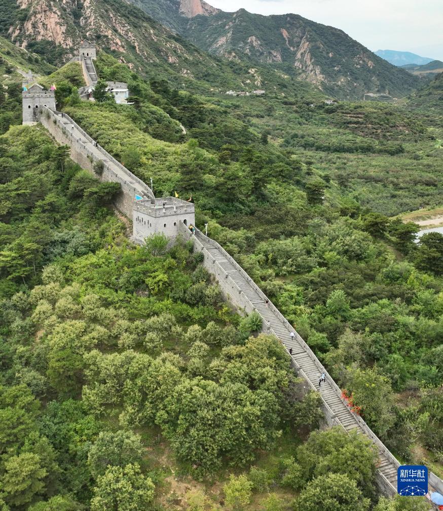 云顶集团网址是多少