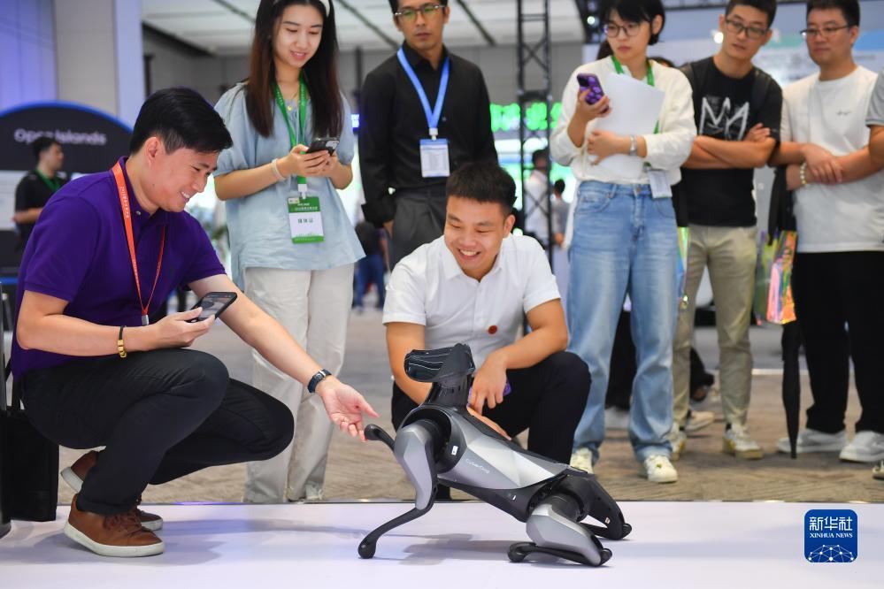 怎么注册赌网站