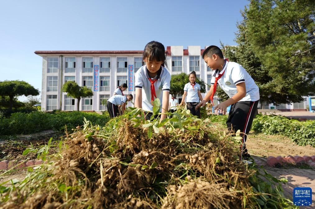 百老汇赌场